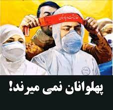 تجلیل از خانواده شهدا مدافعان سلامت در روز فرهنگ پهلوانی تجلیل از خانواده شهدا مدافعان سلامت در روز فرهنگ پهلوانی