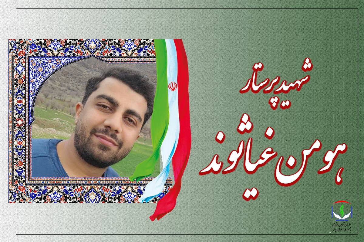 هومن غیاثوند به جمع شهدای پرستار جنگ ۱۲ روزه پیوست